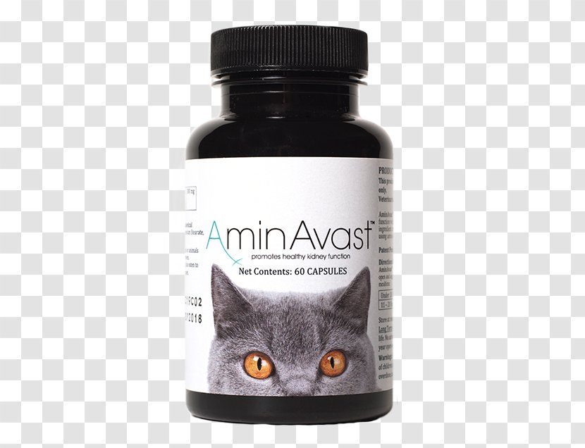 Cat Dog Dietary Supplement Veterinarian Felidae - Cats Dogs Transparent PNG