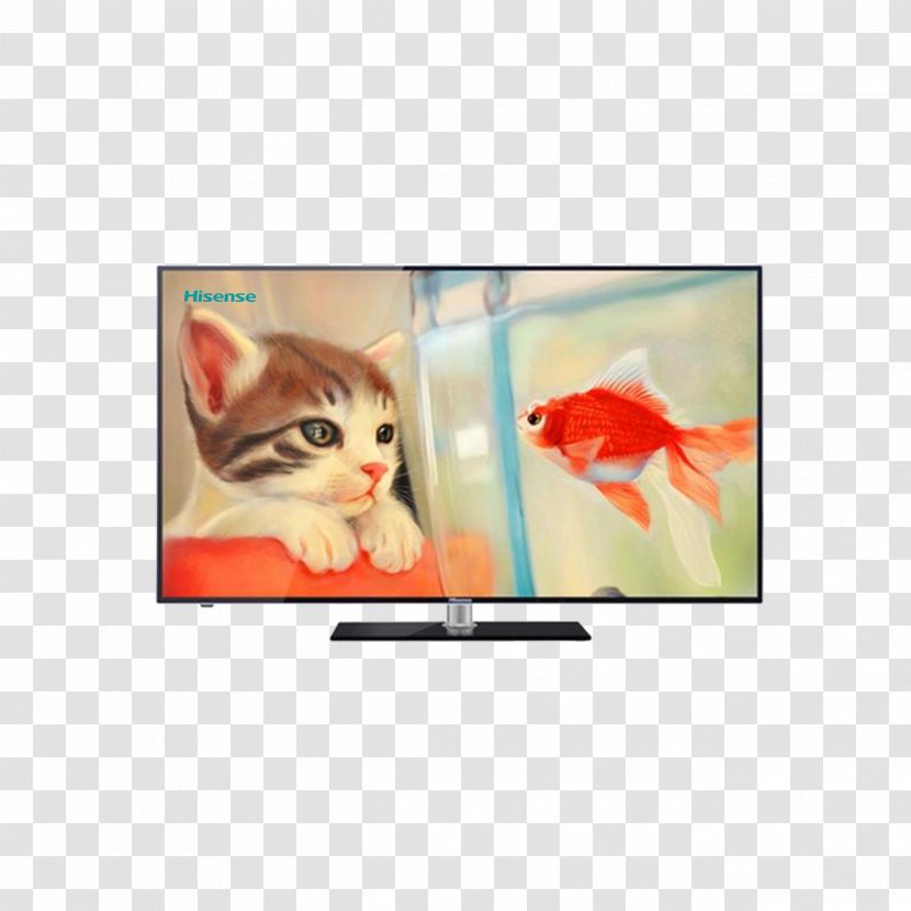 Cat Goldfish Painting Drawing - Hisense TV Transparent PNG