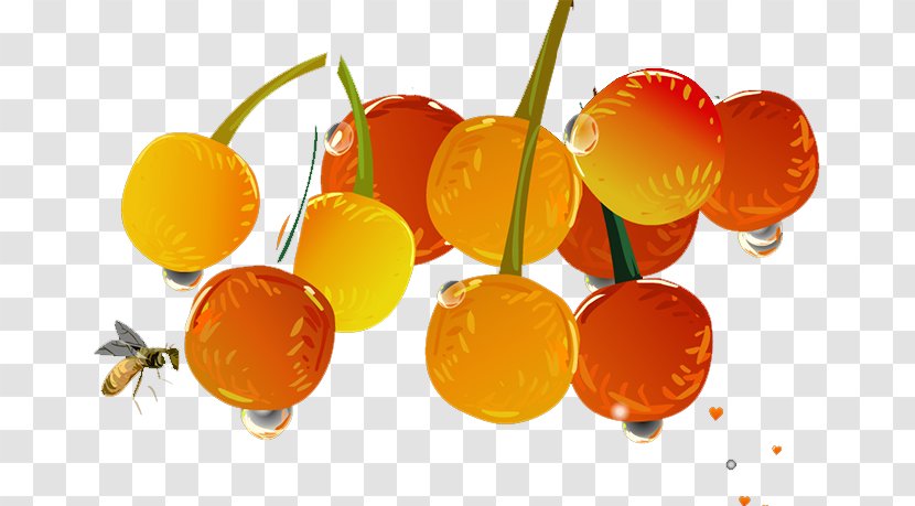 Clementine Tangerine Mandarin Orange - Cherry Transparent PNG