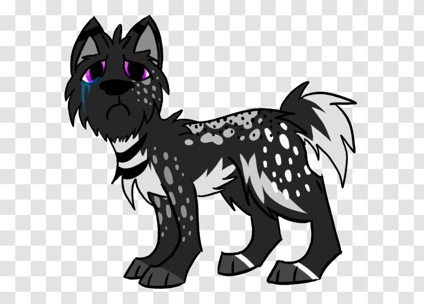 Whiskers Dog Cat Mammal Legendary Creature - Frame Transparent PNG