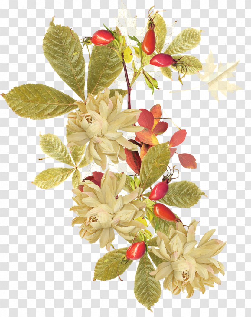 Flower Graphic Design - Floral - Hand Painted Flowers Transparent PNG