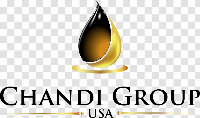 Chandi Group USA Criminal Defense Lawyer Watts Law PLLC Business - Indio Transparent PNG