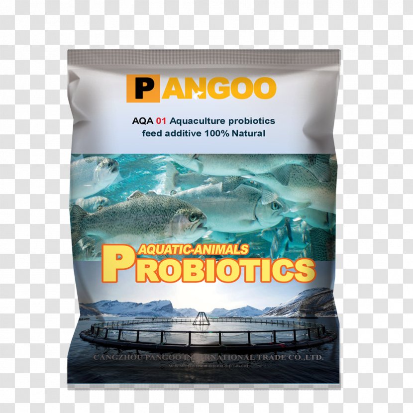 Aquaculture Probiotic Water Commercial Fish Feed Transparent PNG