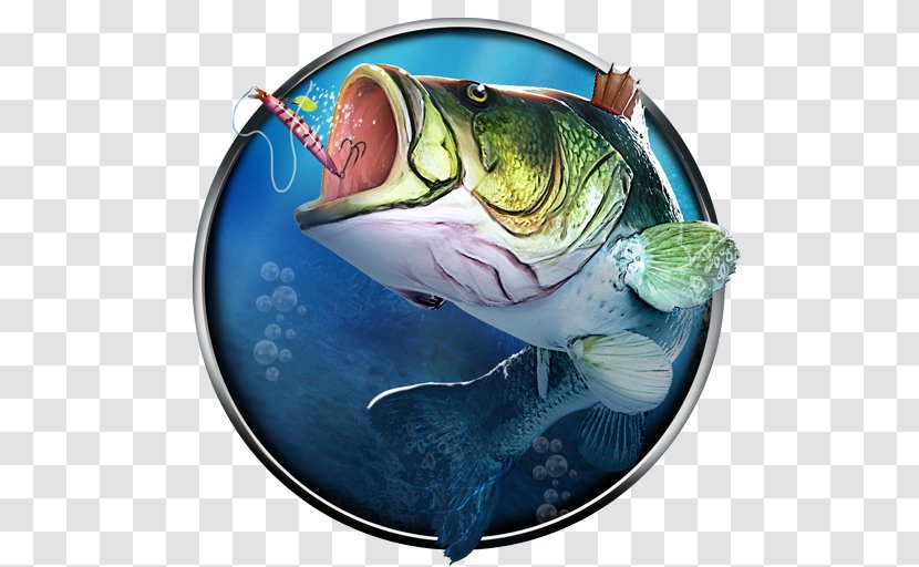 Fishing Clash: Bass 3D. Fish Hunting Games Catch Big Recreational Northern Pike - Video Transparent PNG