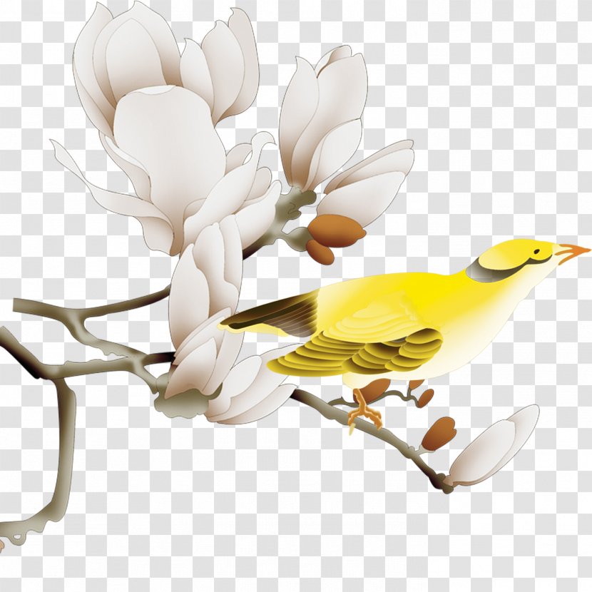 White Yellow - Passerine - Birds And Flowers Transparent PNG
