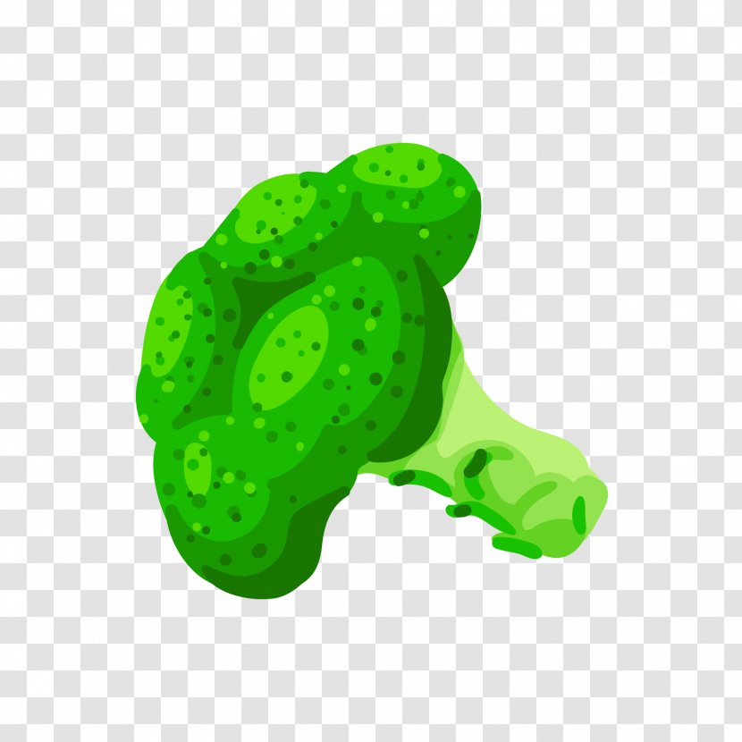 Green Adobe Illustrator Broccoli Cauliflower - Organism - A Transparent PNG