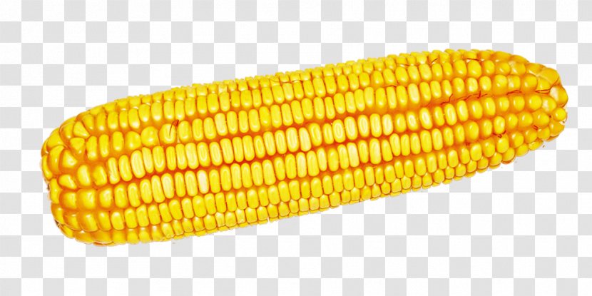 Corn On The Cob Maize Harvest Computer File Transparent PNG