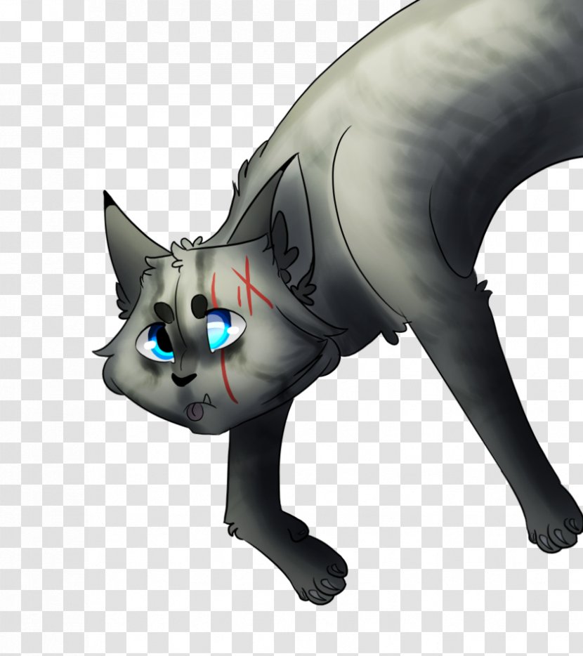 Whiskers Cat Technology Snout Tail Transparent PNG