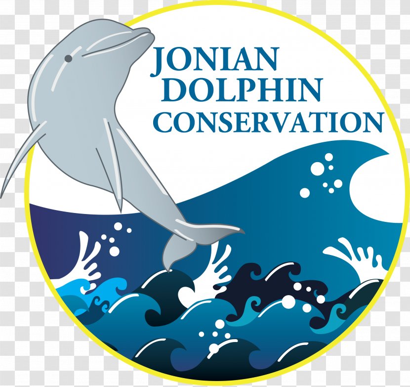 Jonian Dolphin Conservation Striped Cetaceans Gulf Of Taranto - Ionian Sea - Golfo De Transparent PNG