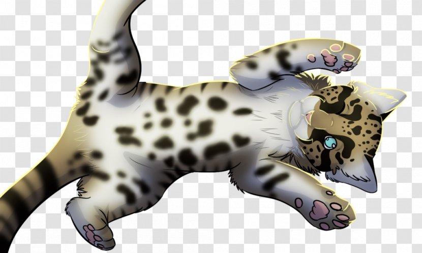 Clouded Leopard Jaguar Felidae Snow - Dalmatian Transparent PNG