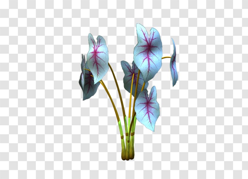 Violet Cut Flowers Plant Stem Violaceae - Purple Transparent PNG