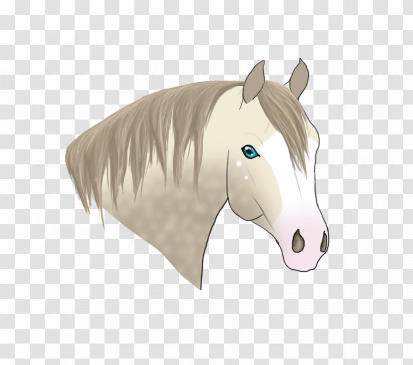 Mustang Pony Stallion Halter Rein - Horse Transparent PNG