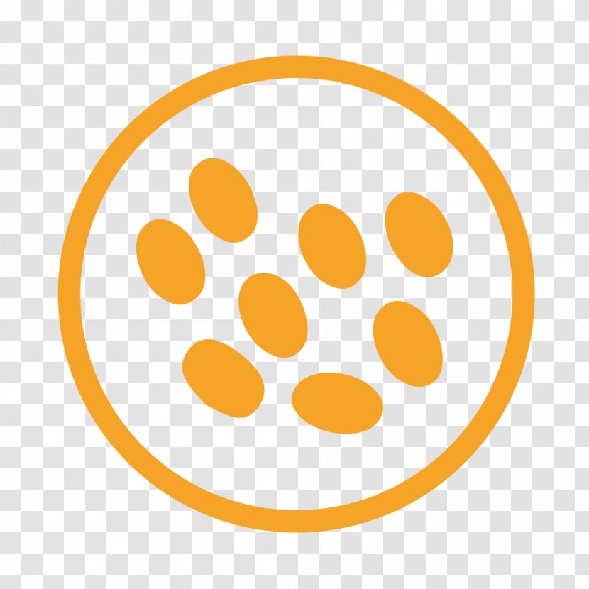 Food Allergy Allergen Sesame - Orange Transparent PNG