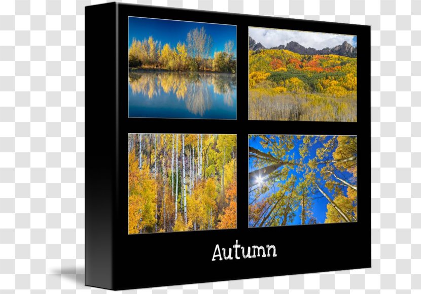 Television Autumn Aspen Modern Art Gallery Wrap - Price To Transparent PNG