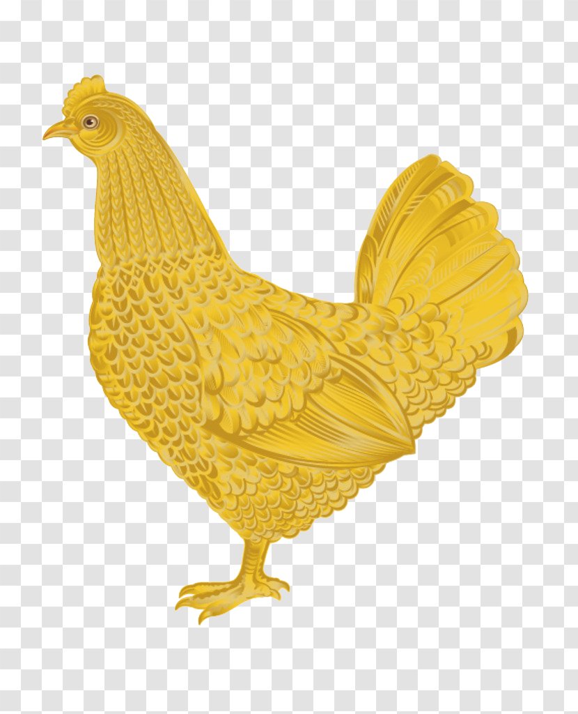Chicken Rooster - Galliformes - A Golden Transparent PNG