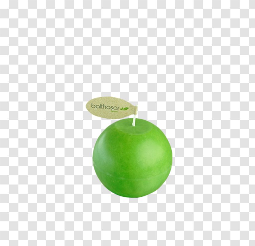 Ecology Fruit Sustainability Candle Insect - Requirement - Green Energy Flyer Transparent PNG