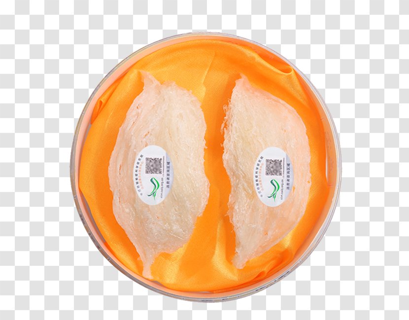 Fruit Orange - Bird's Nest Transparent PNG