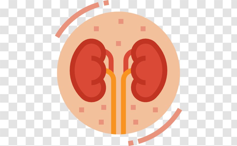 kidney disease urology medicine frame kidneys icon transparent png kidney disease urology medicine frame