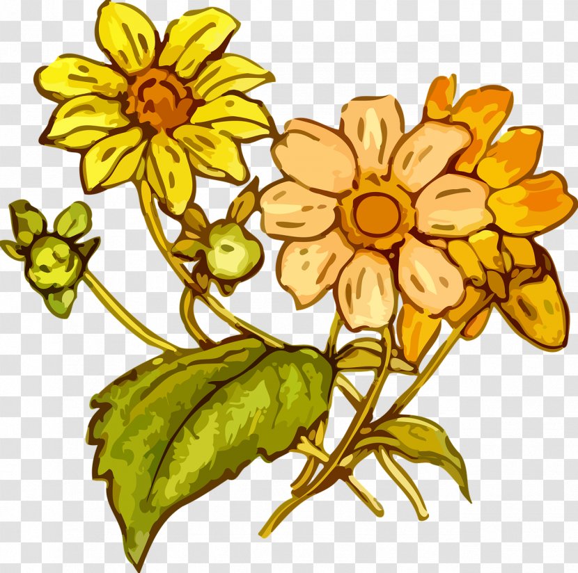 Flower Drawing Clip Art - Herbaceous Plant Transparent PNG