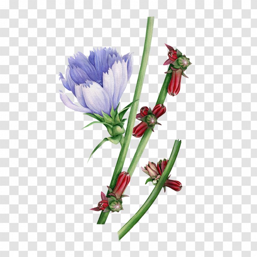 Watercolor: Flowers Watercolor Painting Floral Design - Cut - Purple Transparent PNG