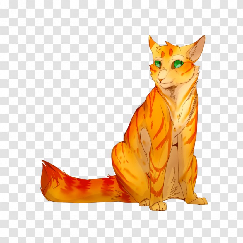 Kitten Whiskers Cat Into The Wild Warriors - Carnivoran Transparent PNG