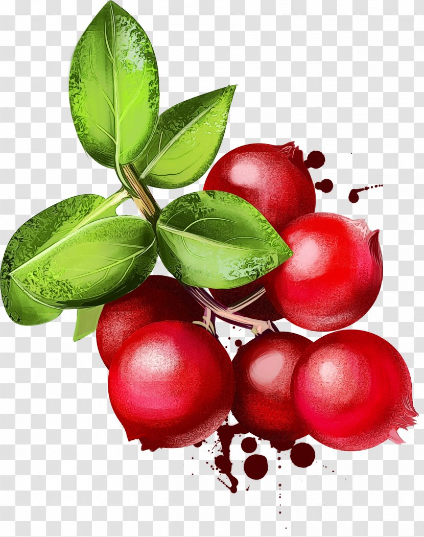 Lips Cartoon - Nykaa - Garcinia Indica Cranberry Juice Transparent PNG