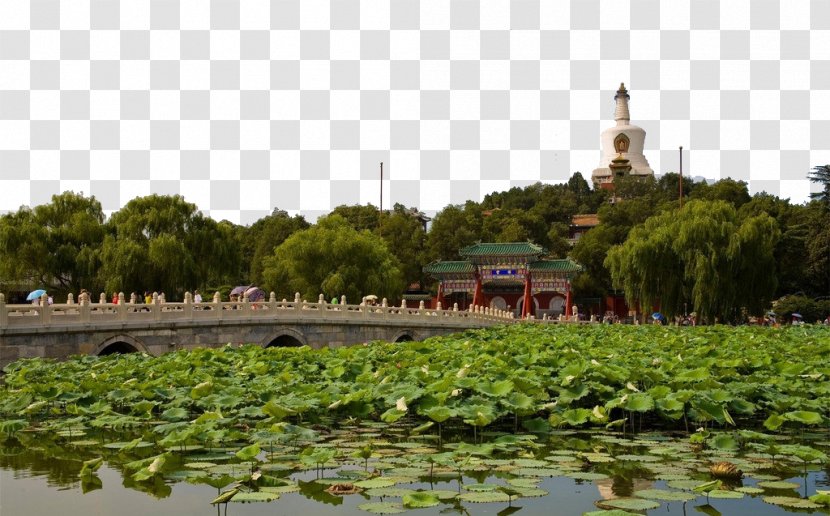 Beihai Park Tiananmen Square Forbidden City Jingshan Transparent PNG