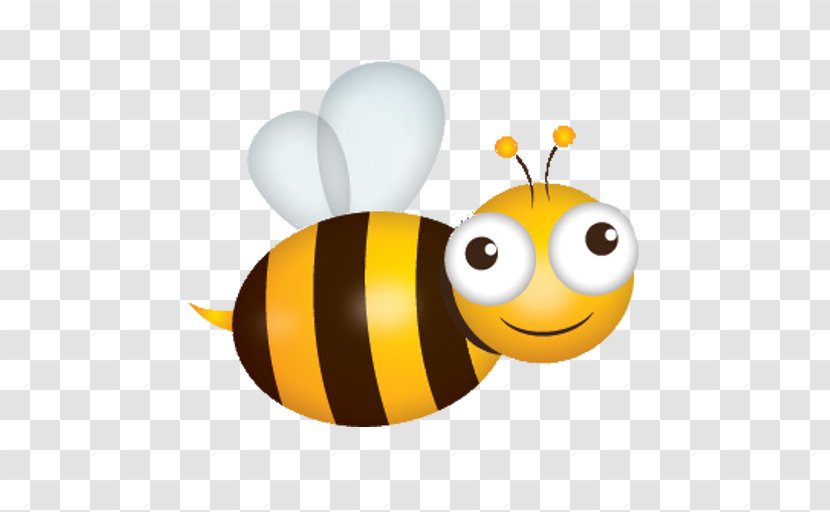 Honey Bee Vector Graphics Illustration Clip Art Transparent PNG
