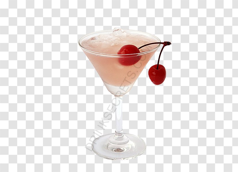 Cocktail Garnish Wine Martini Daiquiri - Glass - Drinks Night Transparent PNG