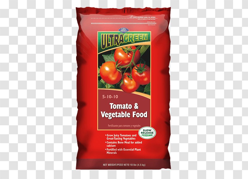 Organic Food Vegetable Tomato Natural Foods - Herb Transparent PNG