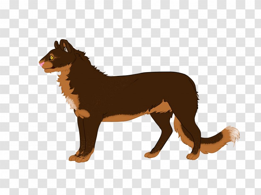 Australian Kelpie Puppy Dog Breed Razas Nativas Vulnerables Transparent PNG