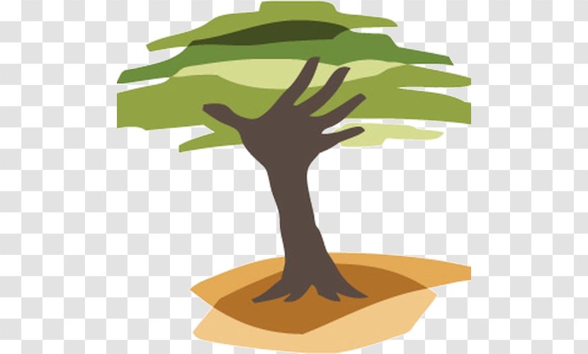 Eden Reforestation Projects Tree Planting Non-profit Organisation - Deforestation - Forest Transparent PNG