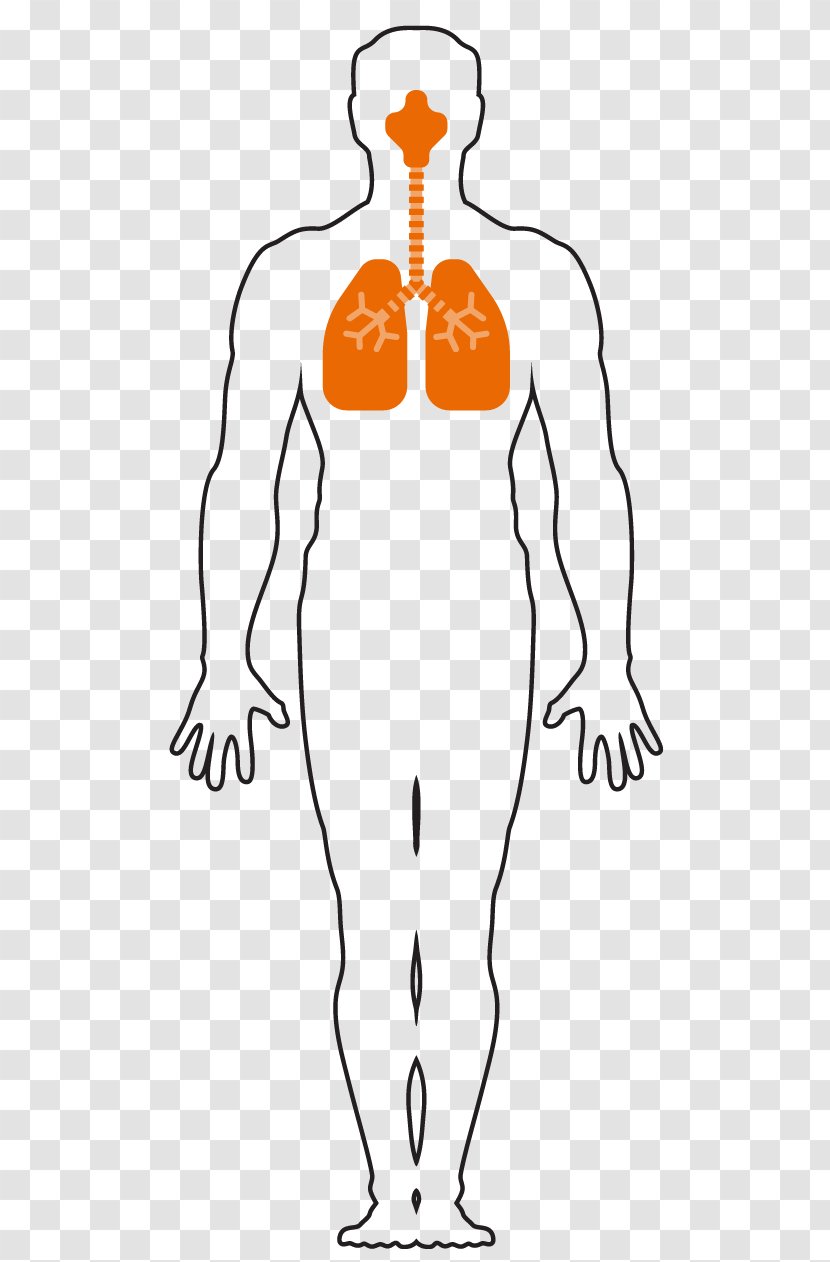 Respiratory System Respiration Finger Human Body Breathing - Heart - Nose Transparent PNG