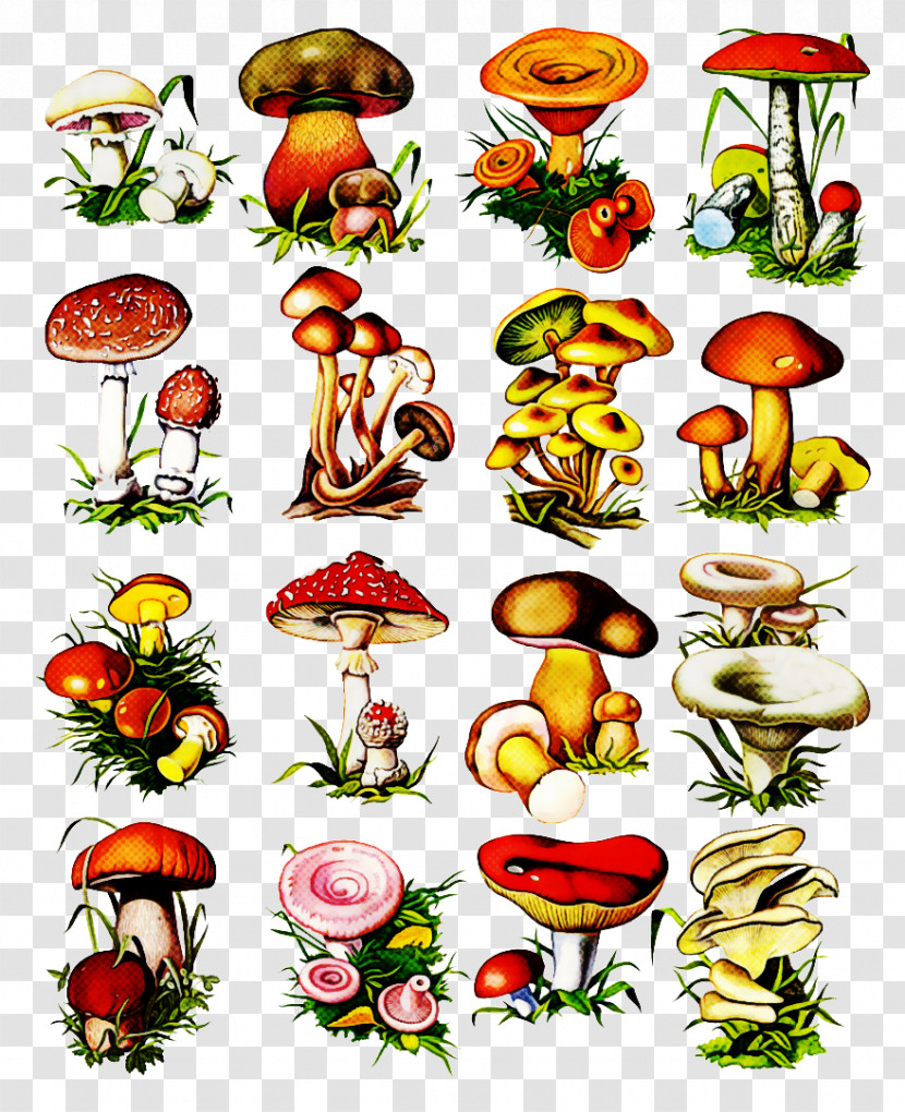 Mushroom Plant Transparent PNG