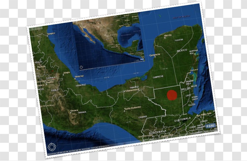Petén Department Petén-Veracruz Moist Forests World Water Resources - Forest - Brachypelma Vagans Transparent PNG