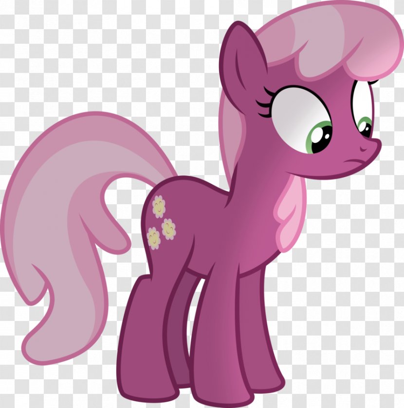 My Little Pony Cheerilee Derpy Hooves - Silhouette Transparent PNG