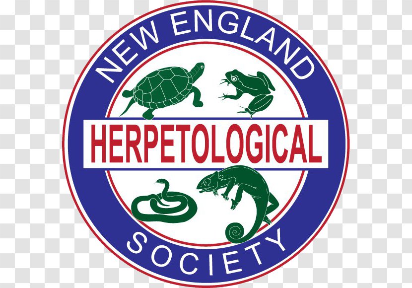 United States Department Of State Herpetology Reptile Organization - Education Transparent PNG