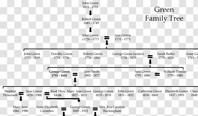 Family Tree Genealogy Reunion Ancestor - Frame - 5 Member Transparent PNG