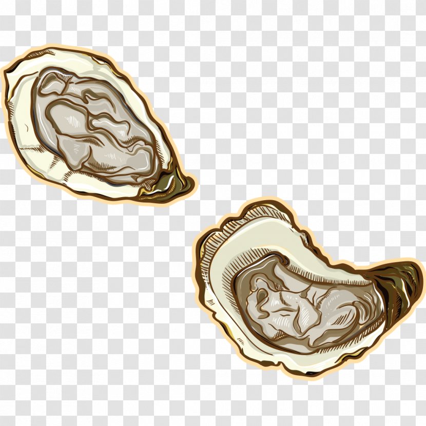 Oyster Mussel Seafood Vector Graphics Shellfish - Food - Oysters Transparent PNG