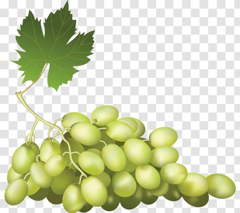 Fruit Grape - Vitis Transparent PNG