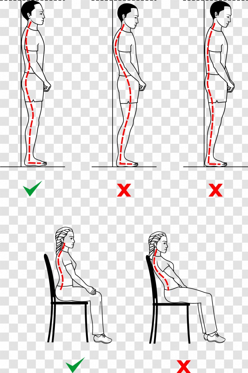 Poor Posture Sitting Neutral Spine Standing Asento - Frame - To Stand Army Transparent PNG