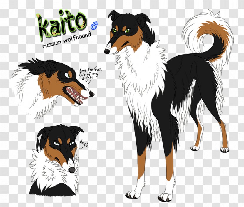 Rough Collie Dog Breed Companion Graphics - Like Mammal - Cold Blooded Animals Transparent PNG