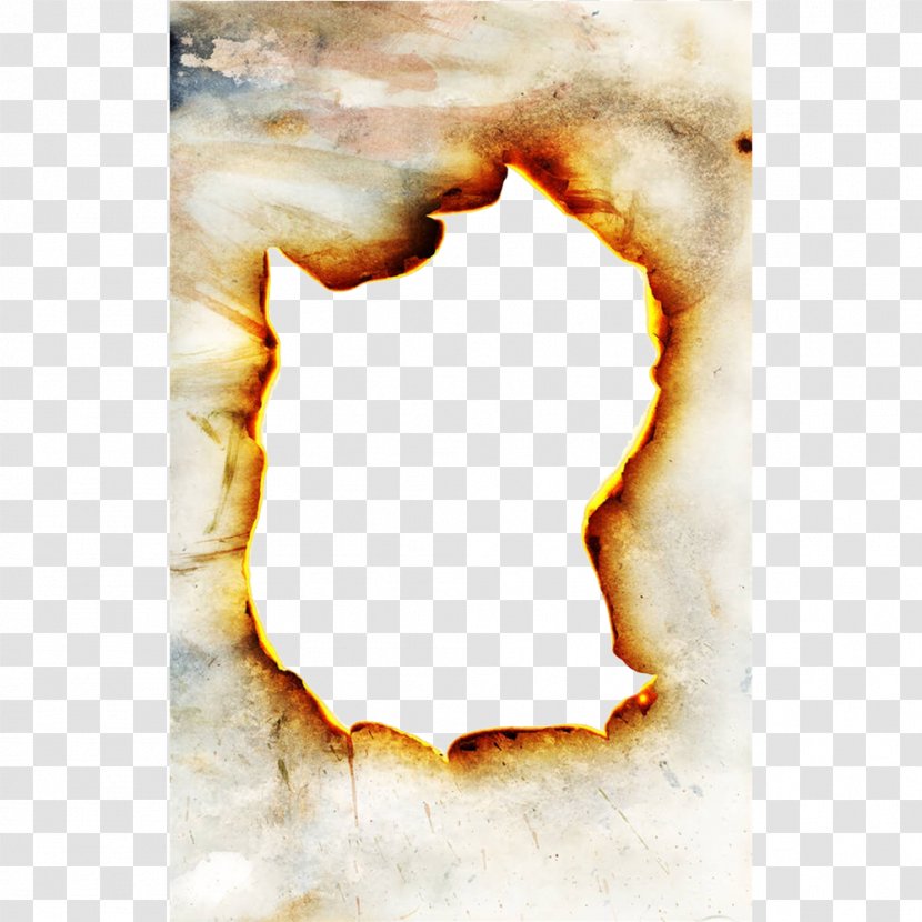 Paper Combustion Flame Fire - Text - Burning Transparent PNG