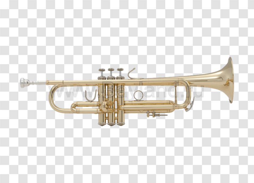 Stradivarius Trumpet Vincent Bach Corporation Leadpipe - Frame Transparent PNG