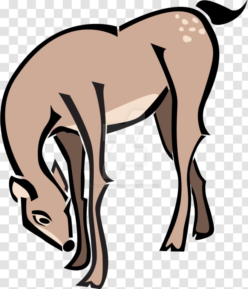 Deer Faline Mustang Drawing Clip Art - Wildlife - Bambi Transparent PNG