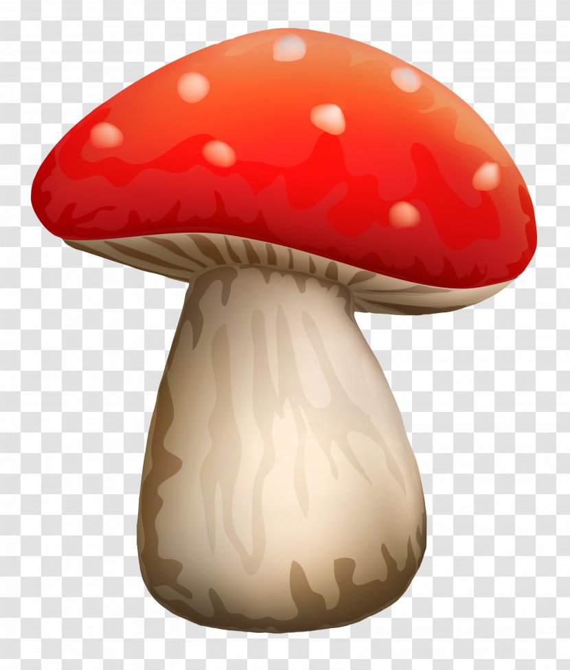 Common Mushroom Fungus Clip Art - Amanita Muscaria Transparent PNG