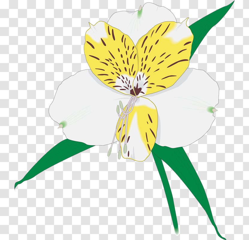 Photography Royalty-free ストックフォト Clip Art - Petal - Vm Transparent PNG