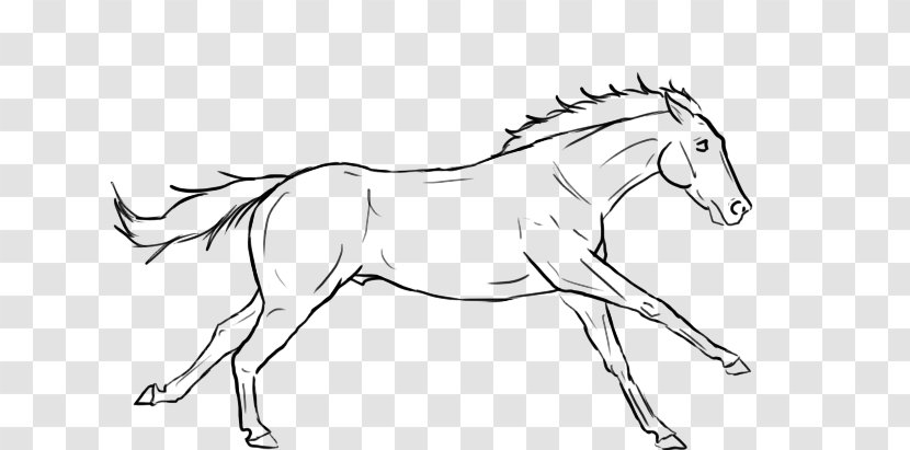 Gallop Arabian Horse Friesian Line Art Drawing - Wild - Organism Transparent PNG