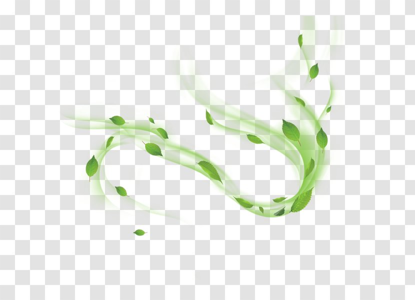 Floating Green Leaf Decoration Material - Frame - Flower Transparent PNG
