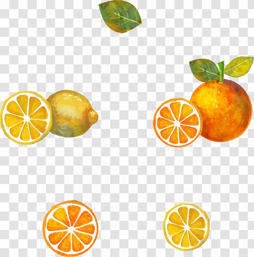 Tea Clementine Yuja-cha Lemon Grapefruit - Peel - Making Honey And Transparent PNG